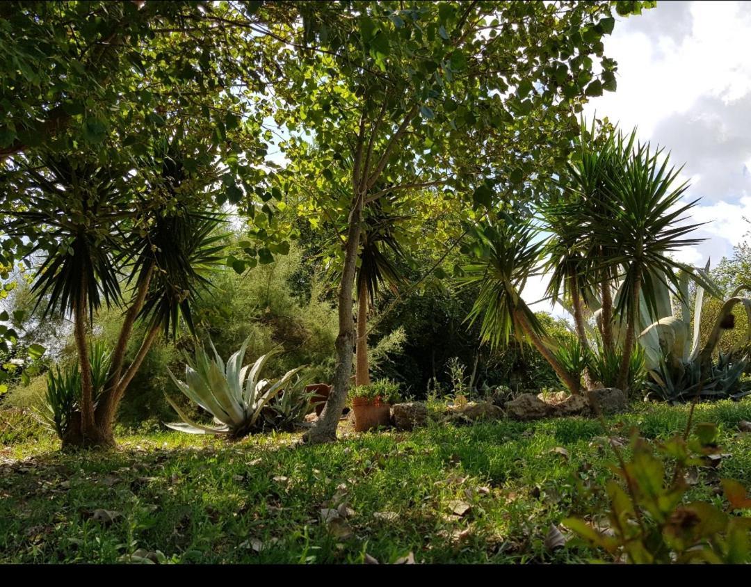 Salento Lapezzaaculuri Villa Guagnano Luaran gambar